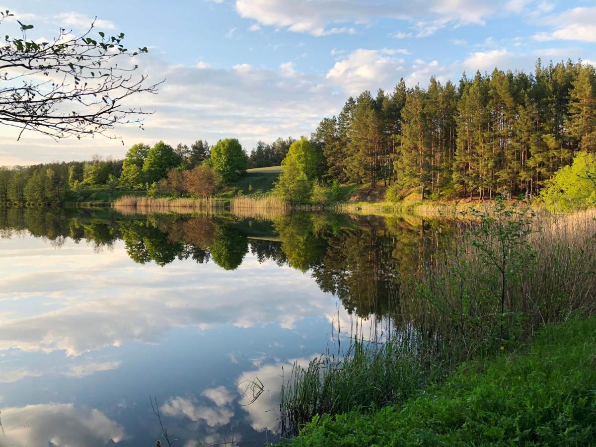 Козацька Фортеця Pliskachevka Dış mekan fotoğraf