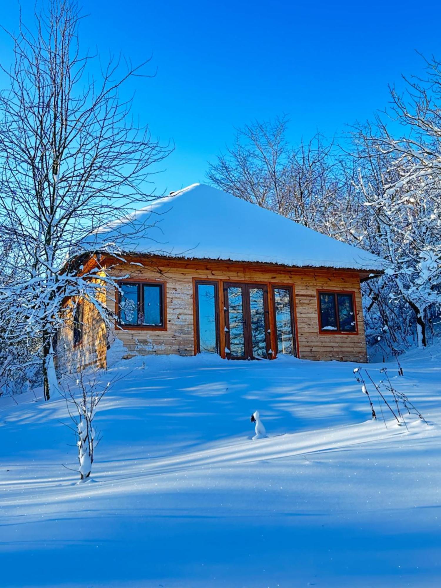 Козацька Фортеця Pliskachevka Dış mekan fotoğraf